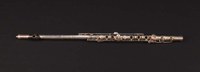 El flautista italiano Achille Malavasi y los comienzos de la interpretación de la flauta Boehm de metal en Iberoamérica, 1848-1862*