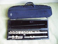 Flauta Trevor James TJ 10 ix